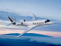 Gulfstream 150, jet d'affaire destiné à la location d'avion d'affaire pour des vols à la demande, gulfstream-150-flying.