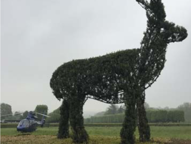 Excursion VIP en hélicoptère privé : Tour de Paris en hélicoptère : château de Thoiry . Avec le service de vols à la demande d'AB Corporate Aviation, parc-zoologique-du-chateau-de-thoiry.