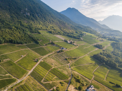 Excursion VIP en jet privé : Visite des vignobles français. Avec le service de vols à la demande d'AB Corporate Aviation, louer-jet-prive-vignoble-savoie.