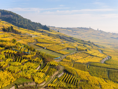 Excursion VIP en jet privé : Visite des vignobles français. Avec le service de vols à la demande d'AB Corporate Aviation, jet-prive-vue-aerienne-vignobles-alsace.