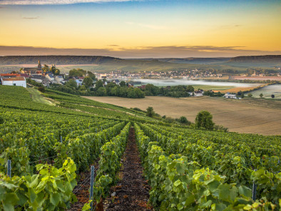 Excursion VIP en jet privé : Visite des vignobles français. Avec le service de vols à la demande d'AB Corporate Aviation, vignobles-champagne-jet-prive.