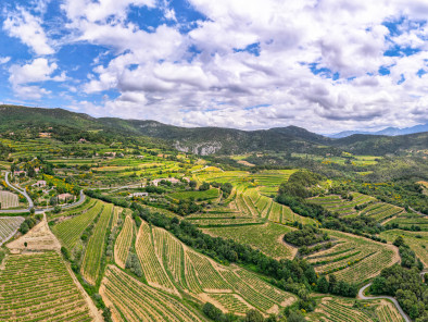 Excursion VIP en jet privé : Visite des vignobles français. Avec le service de vols à la demande d'AB Corporate Aviation, jet-prive-survol-vignoble-rhone.