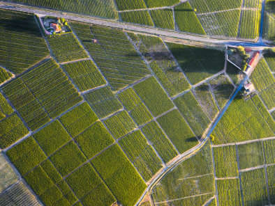 Excursion VIP en jet privé : Visite des vignobles français. Avec le service de vols à la demande d'AB Corporate Aviation, location-jet-prive-visite-vignoble-beaujolais.